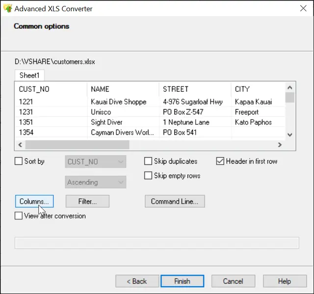 common options in Advanced XLS Converter