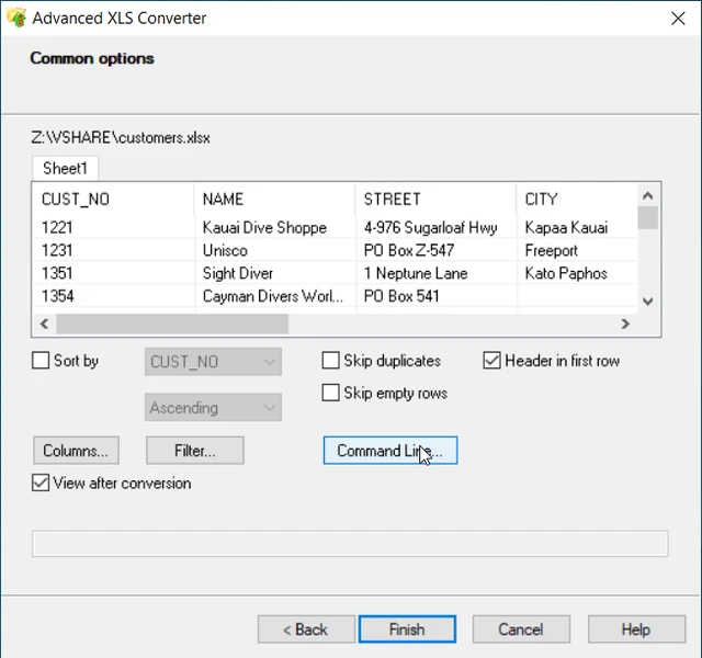 common options for xls to dbf conversion