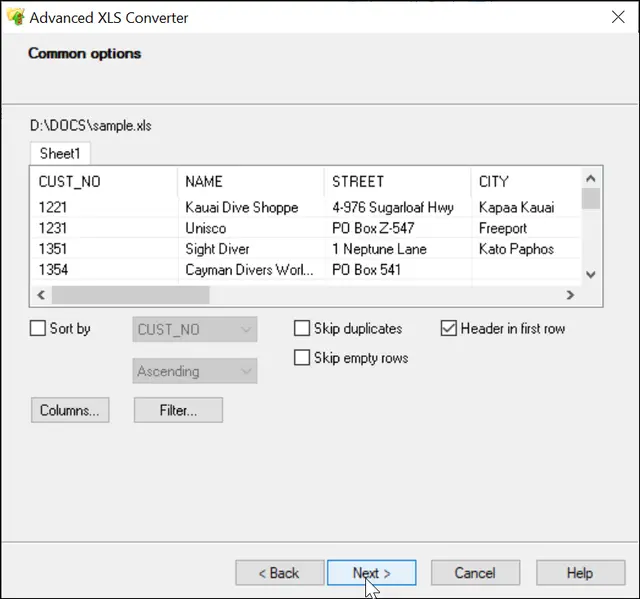 XLS Converter Common options