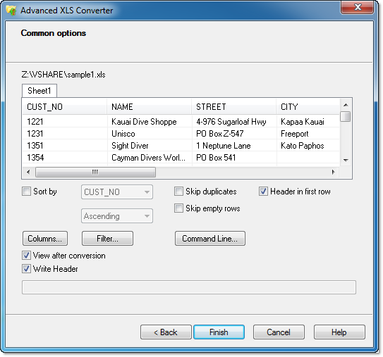 XLS to XLSX common options