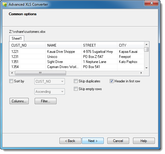 XLSX to CSV common options